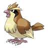Pidgey