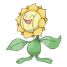 Sunflora