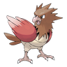 Spearow