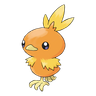 Torchic