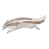 Linoone