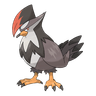 Staraptor