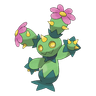Maractus