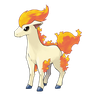 Ponyta